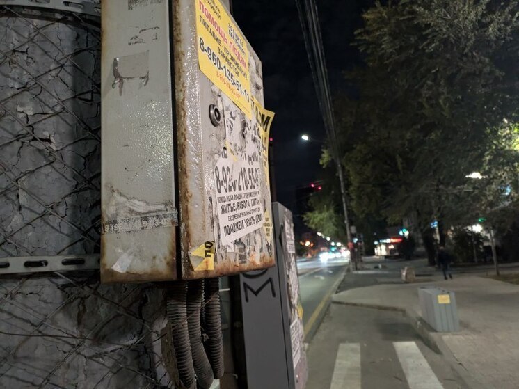 Воронежские водители устроили драку на проезжей части