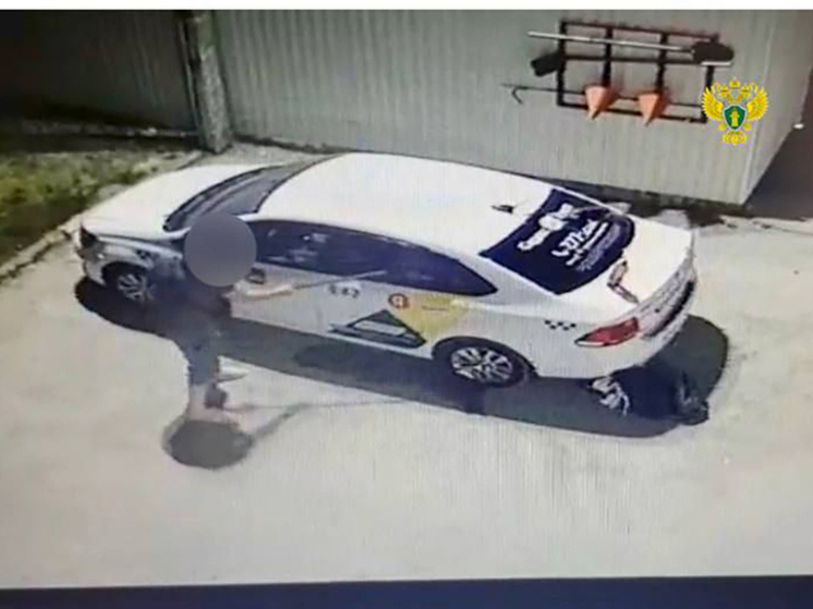 Устроивший пьяный погром в Корекозево калужанин заплатит водителю такси