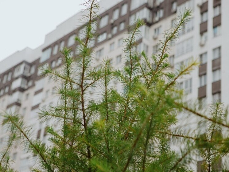 В Пензе замедлилось падение цен на вторичное жильё