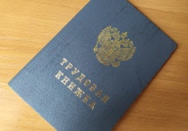 В номинации «Лучший специалист кадрового центра «Работа России»» одним из призеров стала главный инспектор отдела маркетинга, связи с работодателями и прогнозирования рынка труда Отделения занятости населения по городу Вологде и Вологодскому округу Светлана Волкова