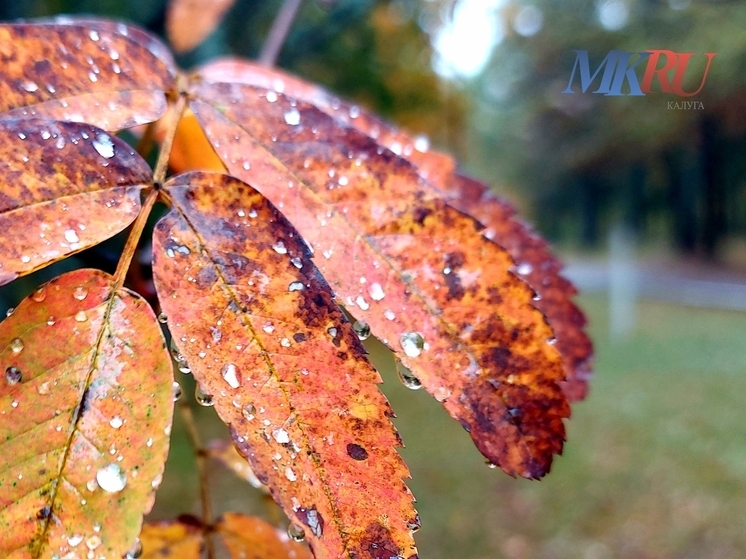 Калужанам пообещали прояснения в погоде