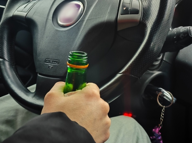 За сообщение о пьяном водителе на Вологодчине можно получить 15 тысяч рублей