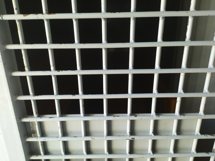 Вологжанин заключен под стражу по подозрению в развратных действиях в отношении девочки