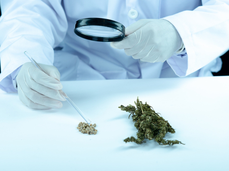 Крупная партия наркотика изъята у уваровца с судимостью