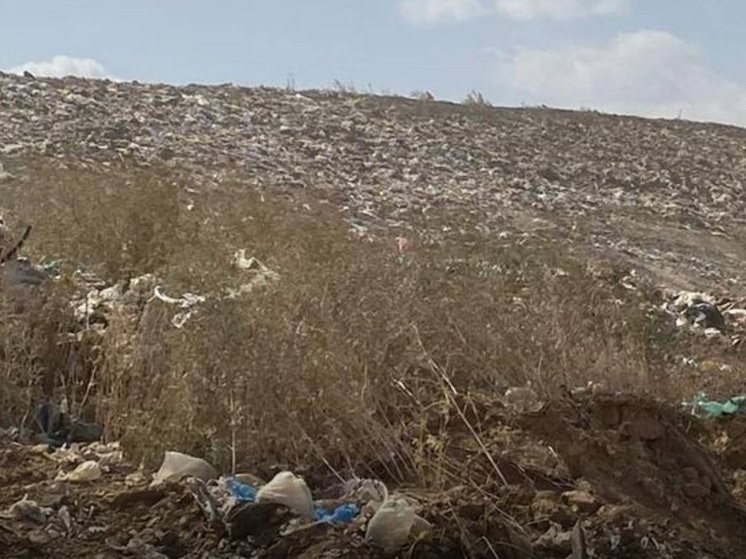 В Калмыкии требуют возмещения ущерба на 892 миллиона рублей