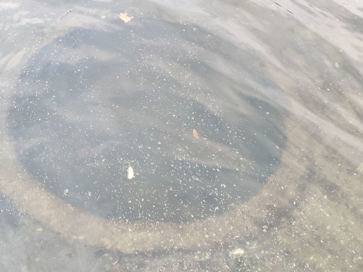 В Ростовской области в реке был найден ДОТ времен Великой Отечественной войны