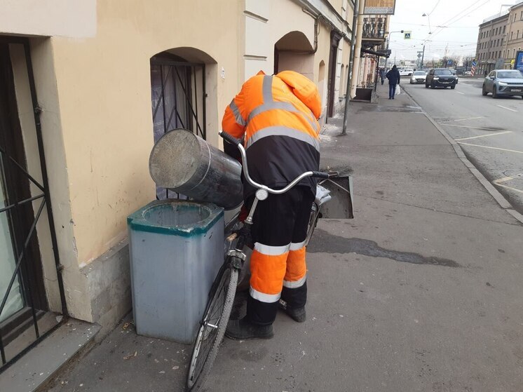 В Петербурге насчитали 6,5 тысячи работающих дворников