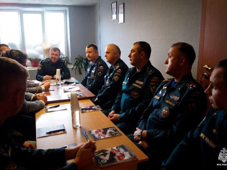 МЧС России укрепило пожарную безопасность Запорожской АЭС новым подразделением