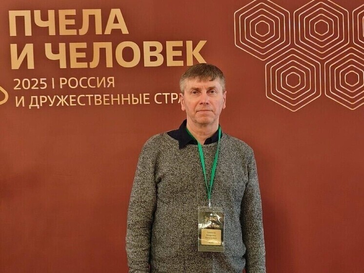 В Ярославской области гранты фермерам дают на пчел, на овец и на люцерну