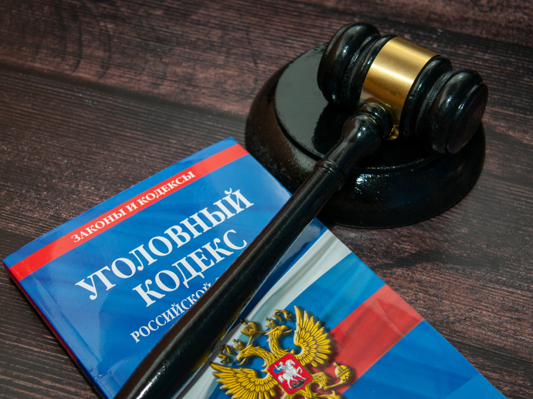 Арбитражного судью в Тульской области приговорили к 7 годам колонии за мошенничество