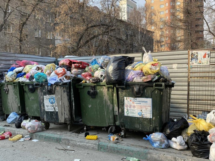 В Новосибирске введут штрафы за выброс старых раковин и других крупных предметов