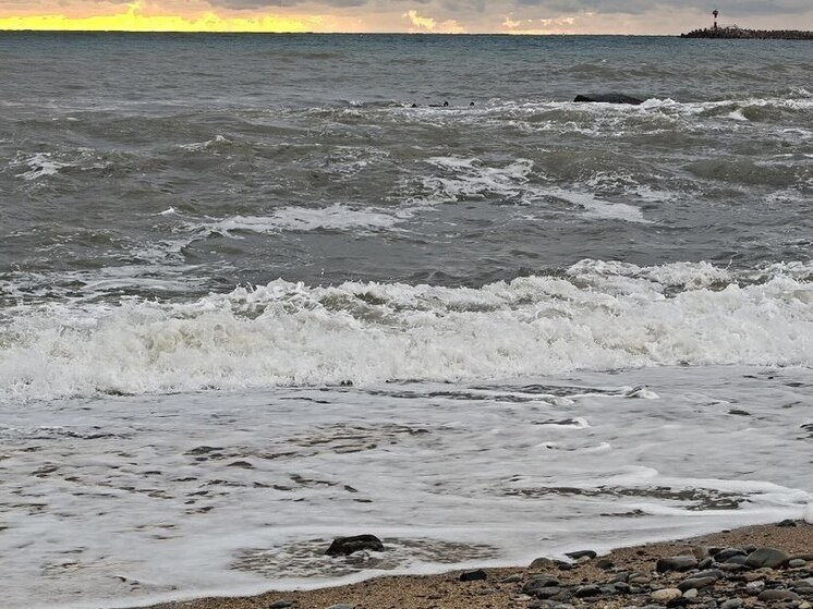 Из Петербурга в Калининград планируют запустить паром-круиз на 1600 пассажиров