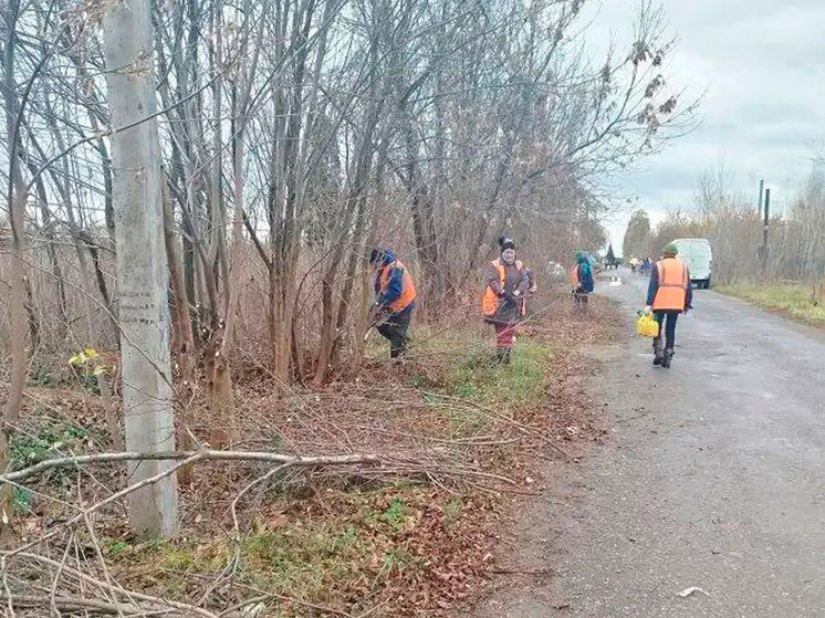 В Липецке «Зеленхоз» на страже безопасности дорожного движения