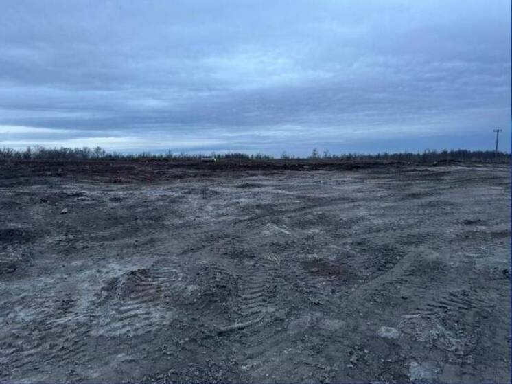 В Бугульме суд закрыл свалку, привлекавшую птиц к аэропорту