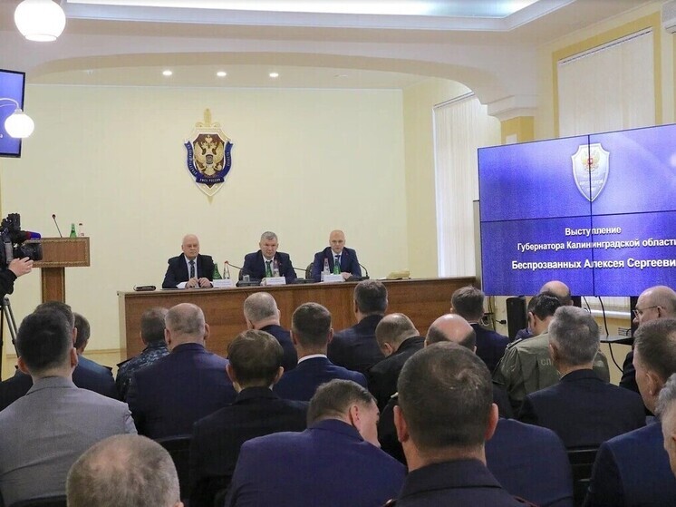 Власти Калининграда начали искать способы оградить молодежь от фейков и экстремизма