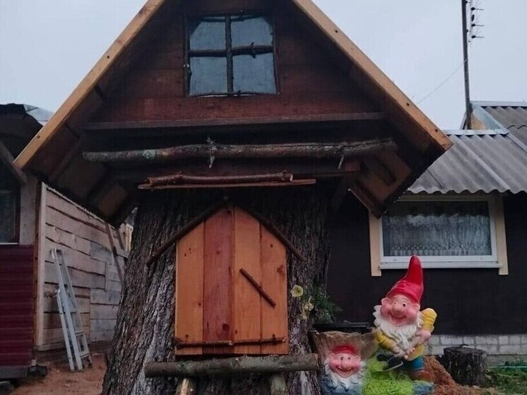 Тосовцы в Старой Руссе построили для зимовки птиц «дворец»