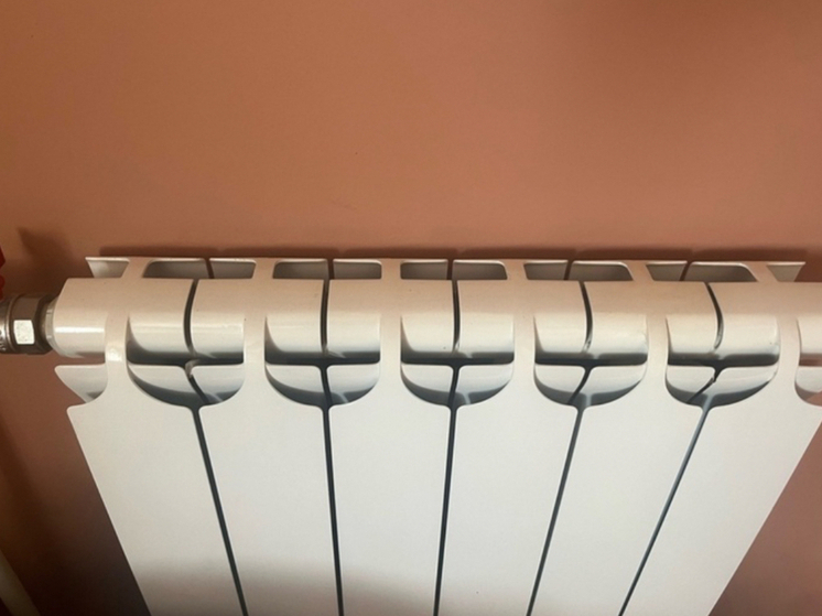 Мошенники могут обмануть орловцев под предлогом проверки отопления