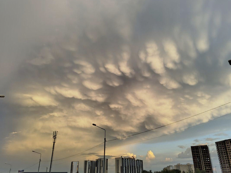 В Новосибирске за 110 лет зафиксировали рекордно низкую температуру: –51,1 °C