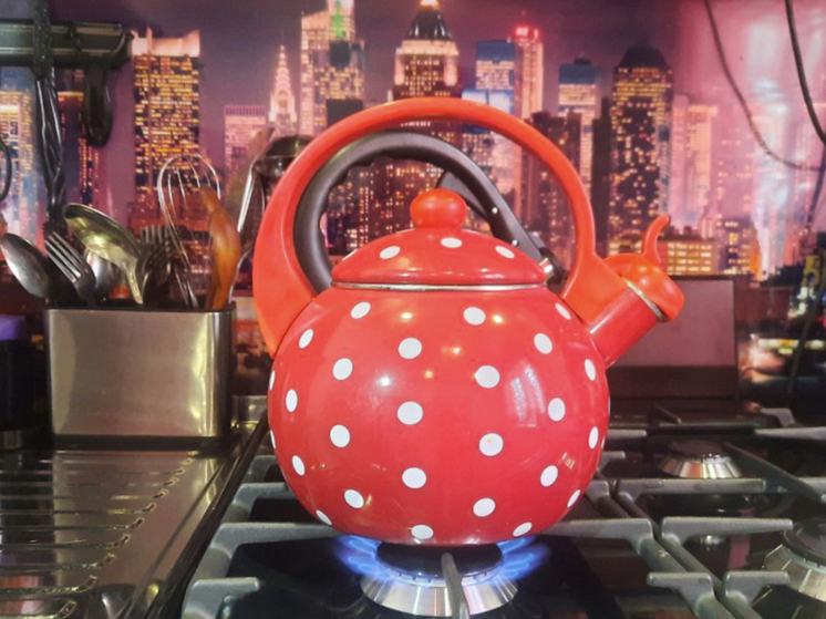 В НСО газифицировали ещё 640 частных домов