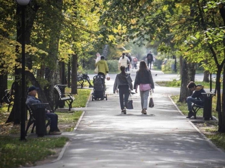 Обманутые новосибирцы проведут митинг из-за недостроенных коттеджей