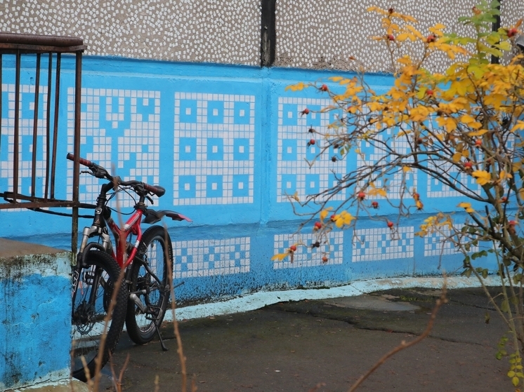 Арт-проект «Северодвинский узор» получит поддержку на президентском уровне