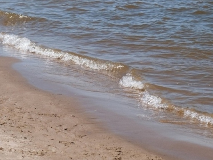 Акция «Вода России» в 2025 году объединила рекордное число волгоградцев