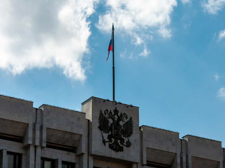 Правительство РФ предложило возможность неоплачиваемых отпусков для ветеранов спецоперации