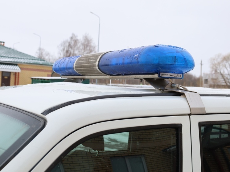 В больницу попала сбитая грузовиком владимирская школьница