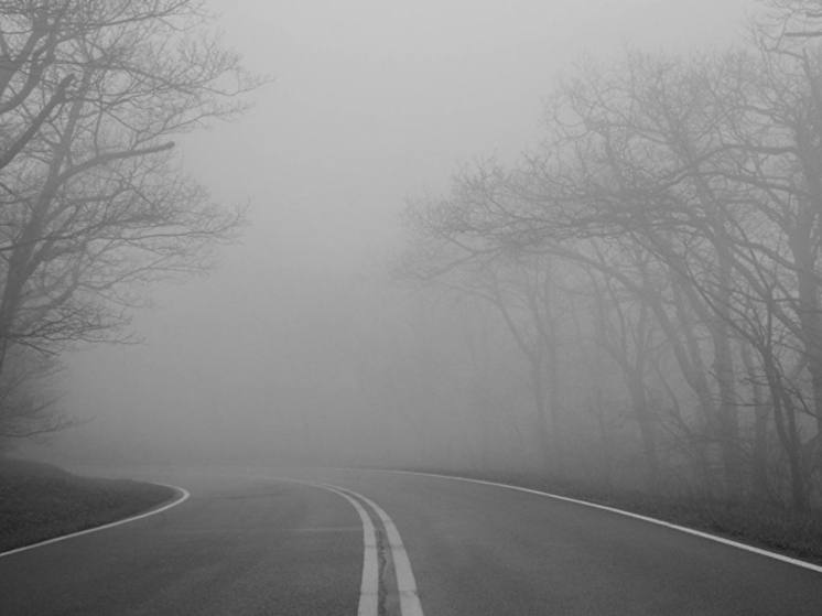 Туман и усиление ветра ожидаются в Чувашии 14 ноября