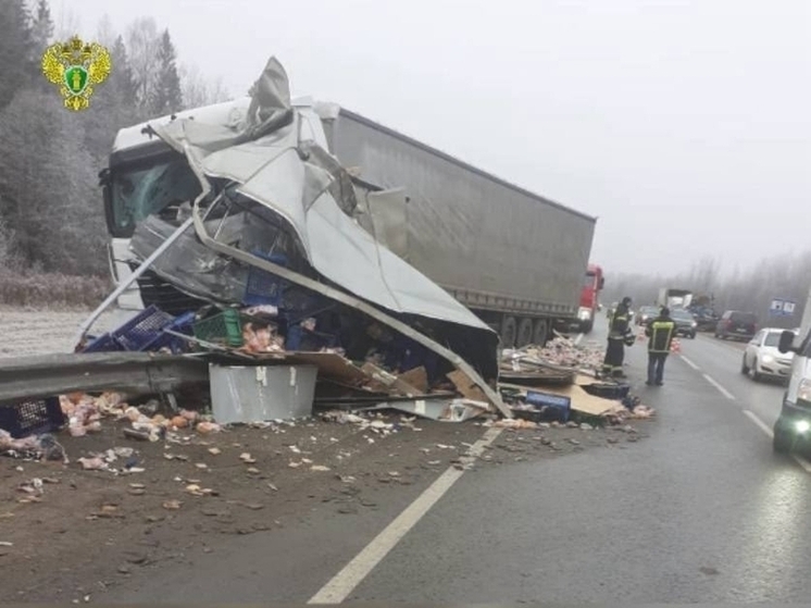 Появились подробности жуткого массового ДТП на костромской трассе