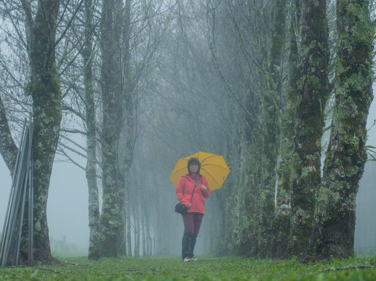 Германия — Флирт был коротким. Теперь — холодный расчет