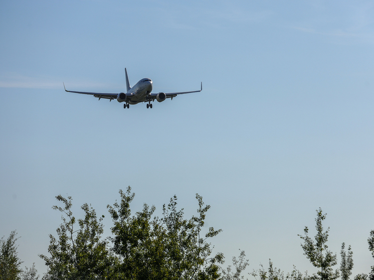 Росавиация ввела временные ограничения на полеты в аэропортах Саратова, Тамбова и Пензы