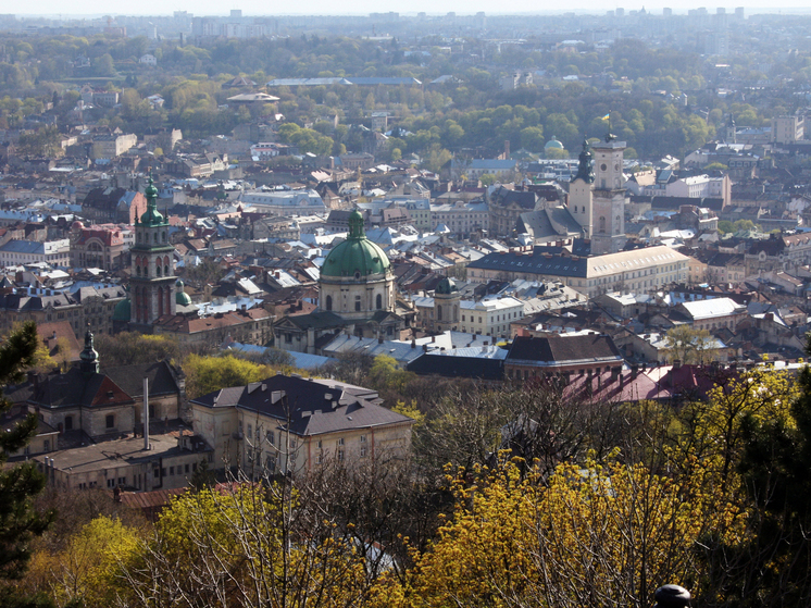 Во Львове неизвестный избил сотрудника ТЦК и освободил призывника