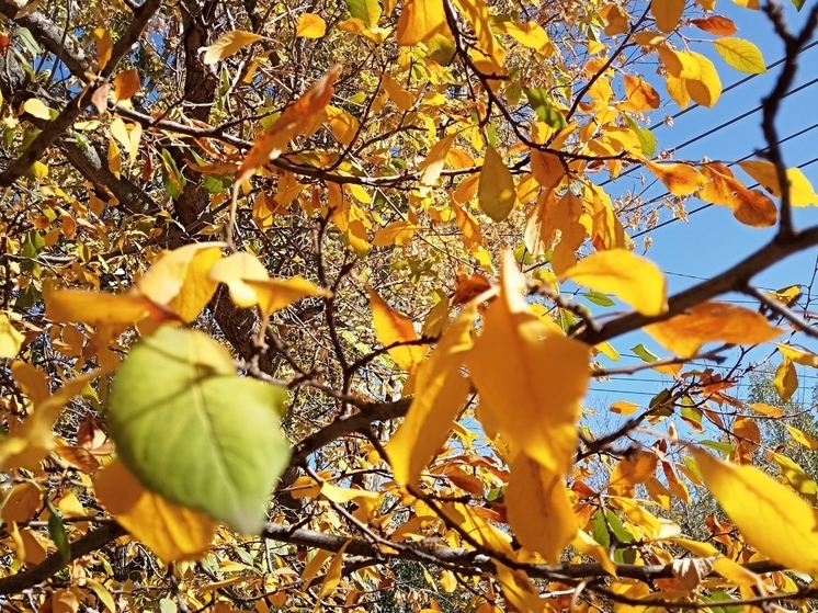 Сила магнитной бури 14 ноября составит 5 баллов: идеальная пора для любых начинаний