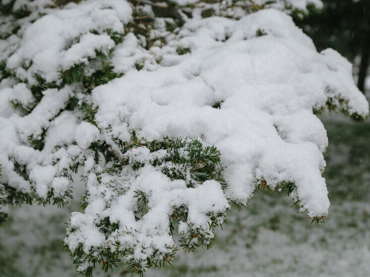 Теплые выходные: в Приморье температура поднимется до +11