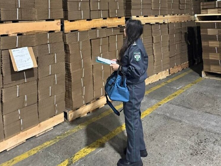 Бурятия экспортировала около 3 млн гофрированных картонных коробок в Монголию