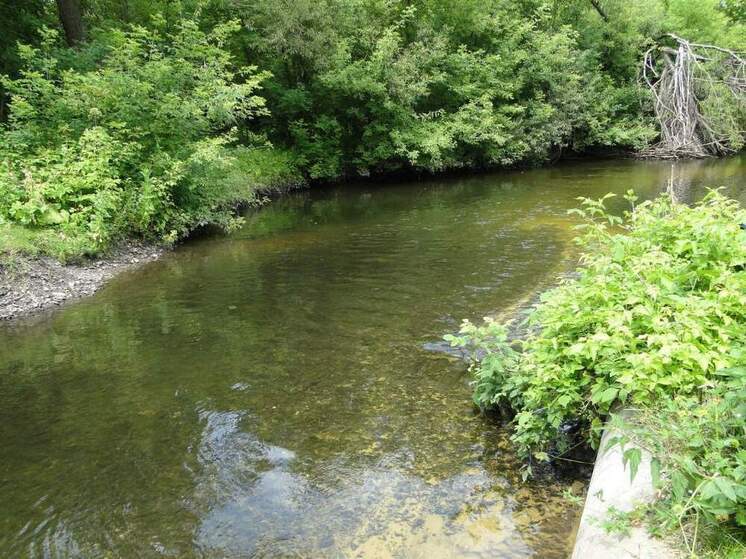 Три охранные зоны памятников природы Курской области внесены в ЕГРН