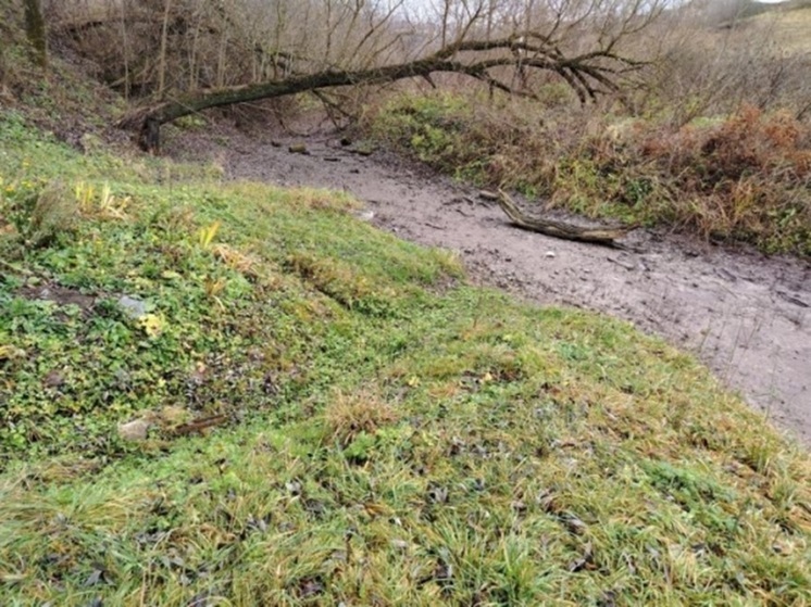 Река Кур, давшая название Курску, полностью пересохла
