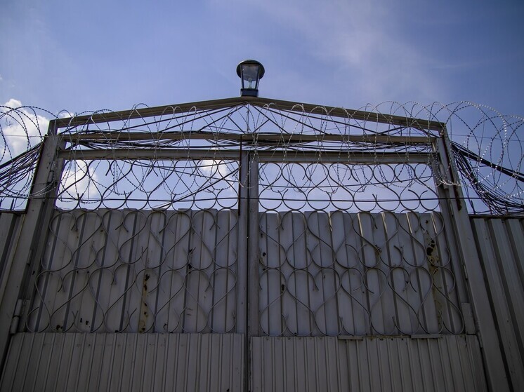 В Питере раздали сроки махинаторам, которые продавали земли в Челябинской области