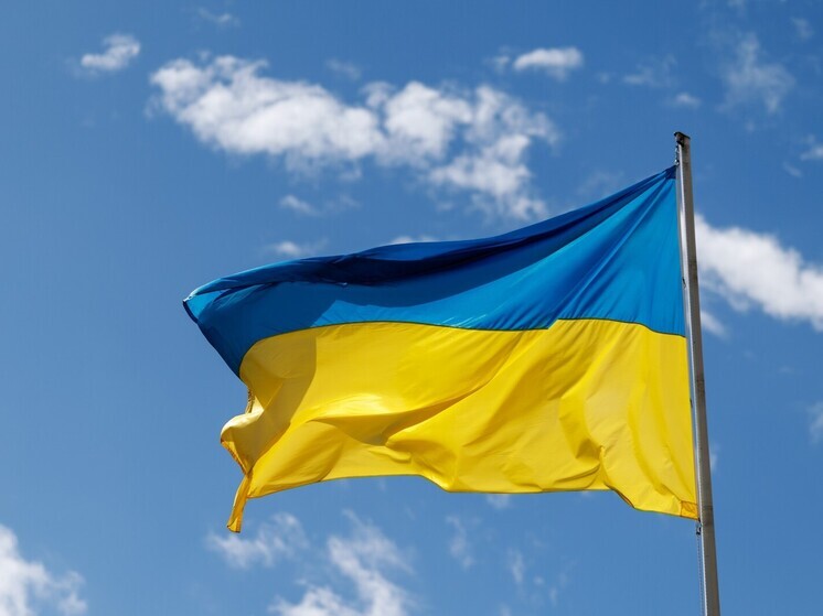 The European Conservative: Украина все больше теряет суверенитет из-за финансовой помощи ЕС