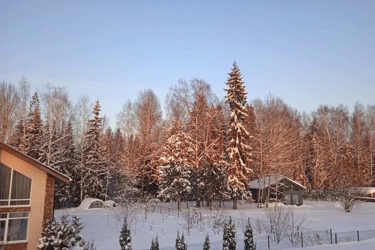 Вильфанд рассказал, какой будет зима в России