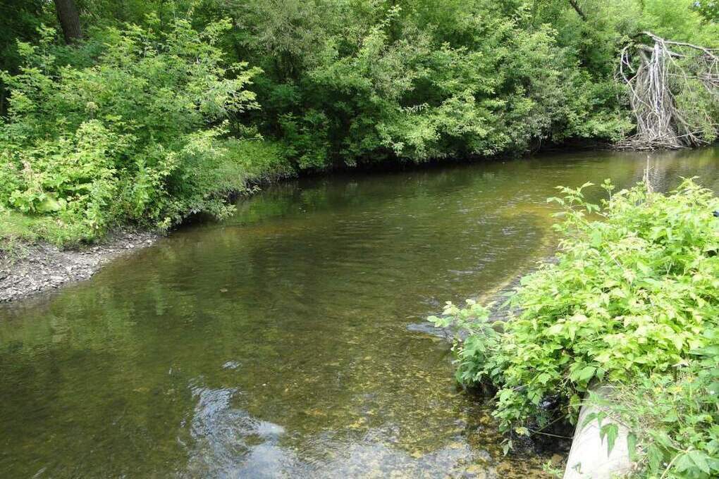 Три охранные зоны памятников природы Курской области внесены в ЕГРН