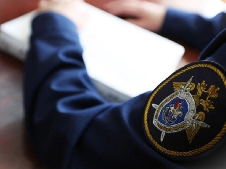 Следком объявил в розыск бывшего владимирского журналиста, ставшего иноагентом