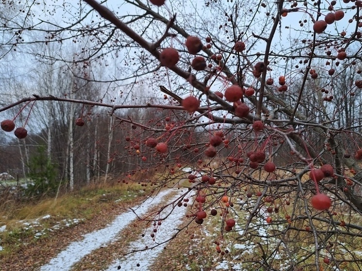 Кузьминки 14 ноября: народные традиции владимирцев и строгие запреты дня