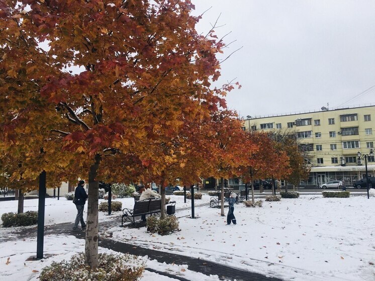 В ночь на воскресенье в Воронежской области ожидается мокрый снег