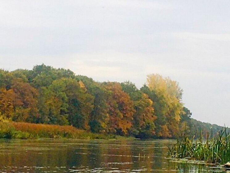 В 05:44 пятницы в Воронежской области отменили режим опасности атаки БПЛА