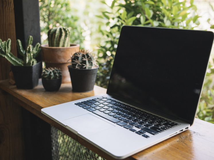 Красноярец получил условный срок за кражу ноутбука из пункта выдачи маркетплейса