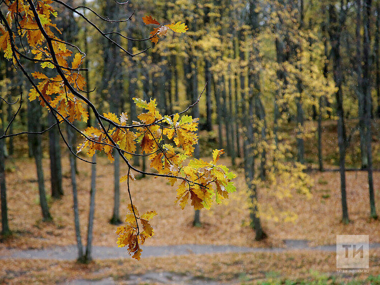 В начале новой недели татарстанцам вновь обещают тепло выше 0 градусов