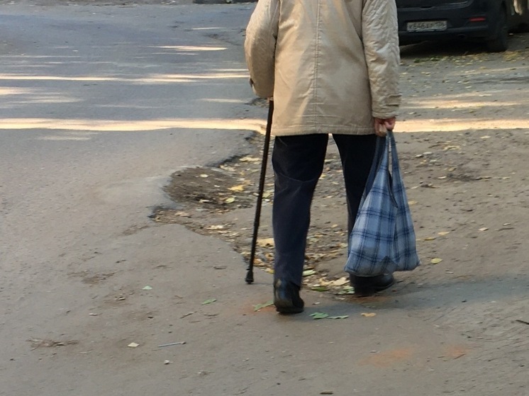 За год число пенсионеров в Воронежской области уменьшилось на 1,4%