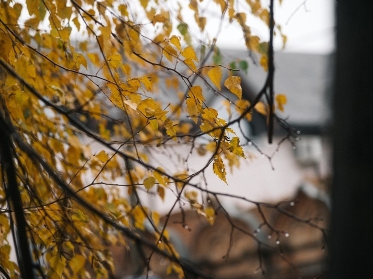 Почему 14 ноября ивановцам нельзя запирать двери: строгие запреты Кузьминок